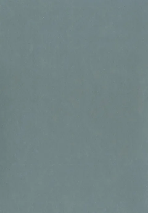 GERFLOR FEAG - Lino Art