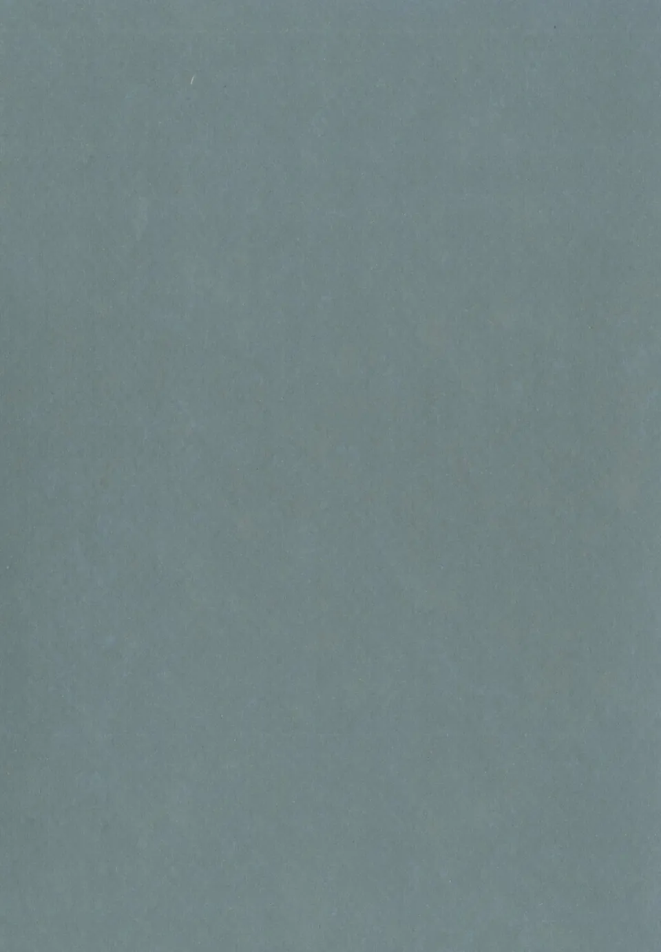 GERFLOR FEAG - Lino Art